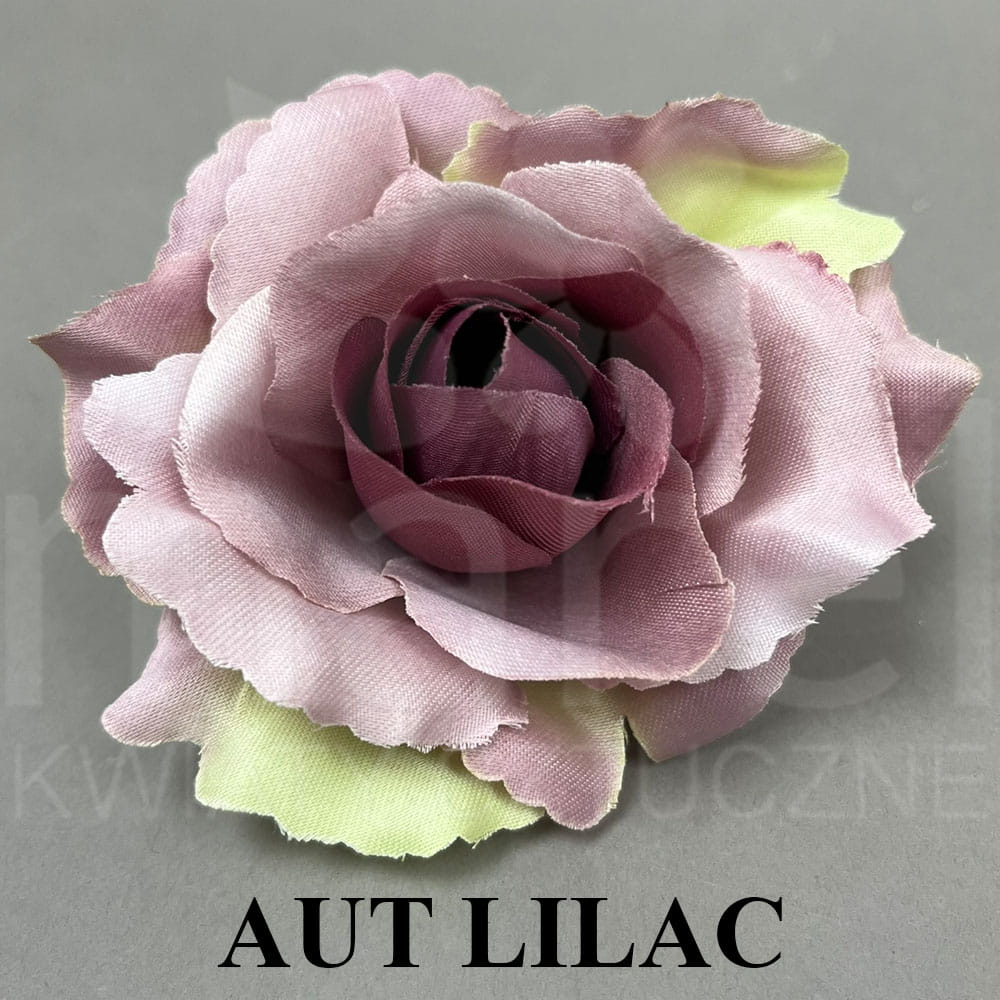 AUT LILAC.jpg