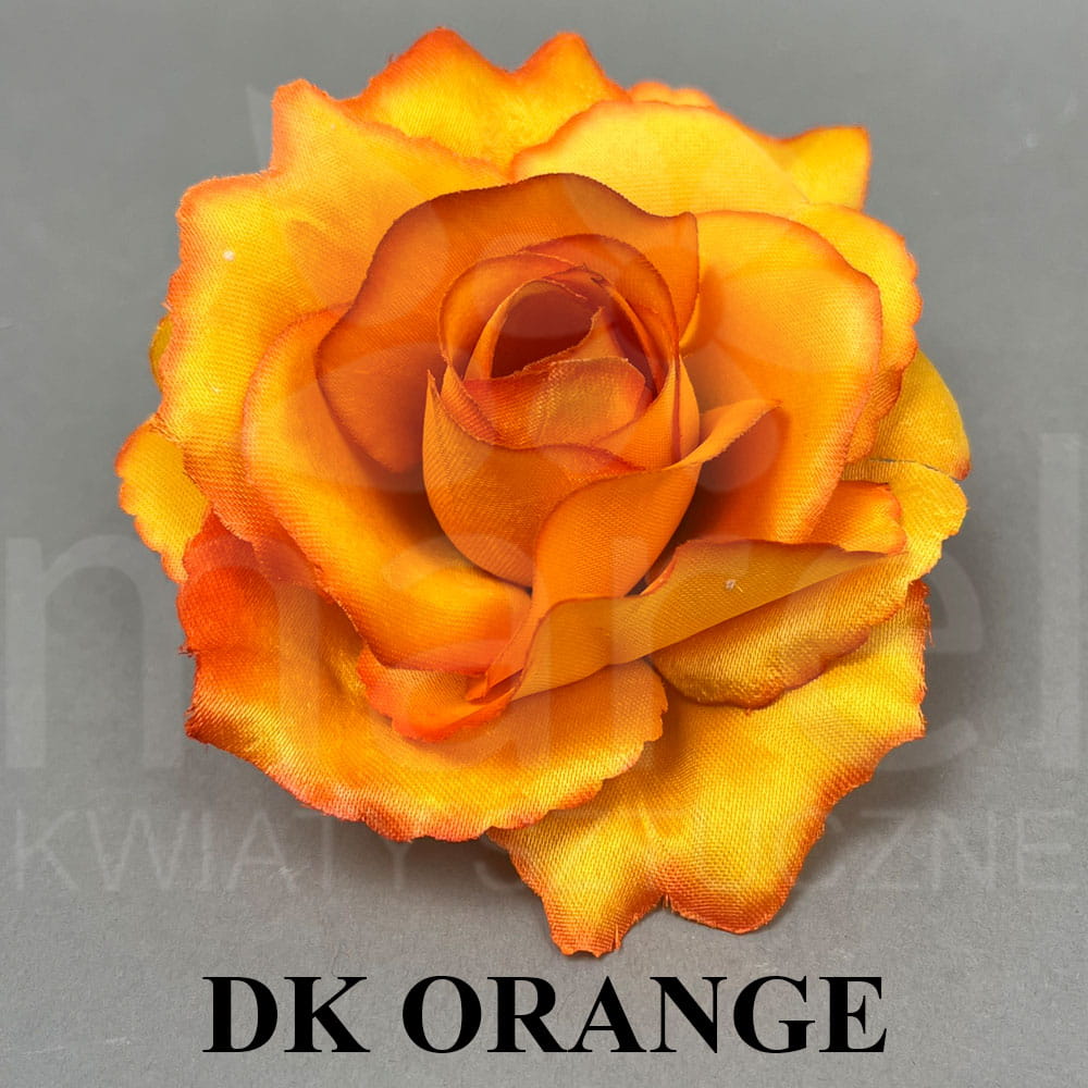 DK ORANGEE.jpg