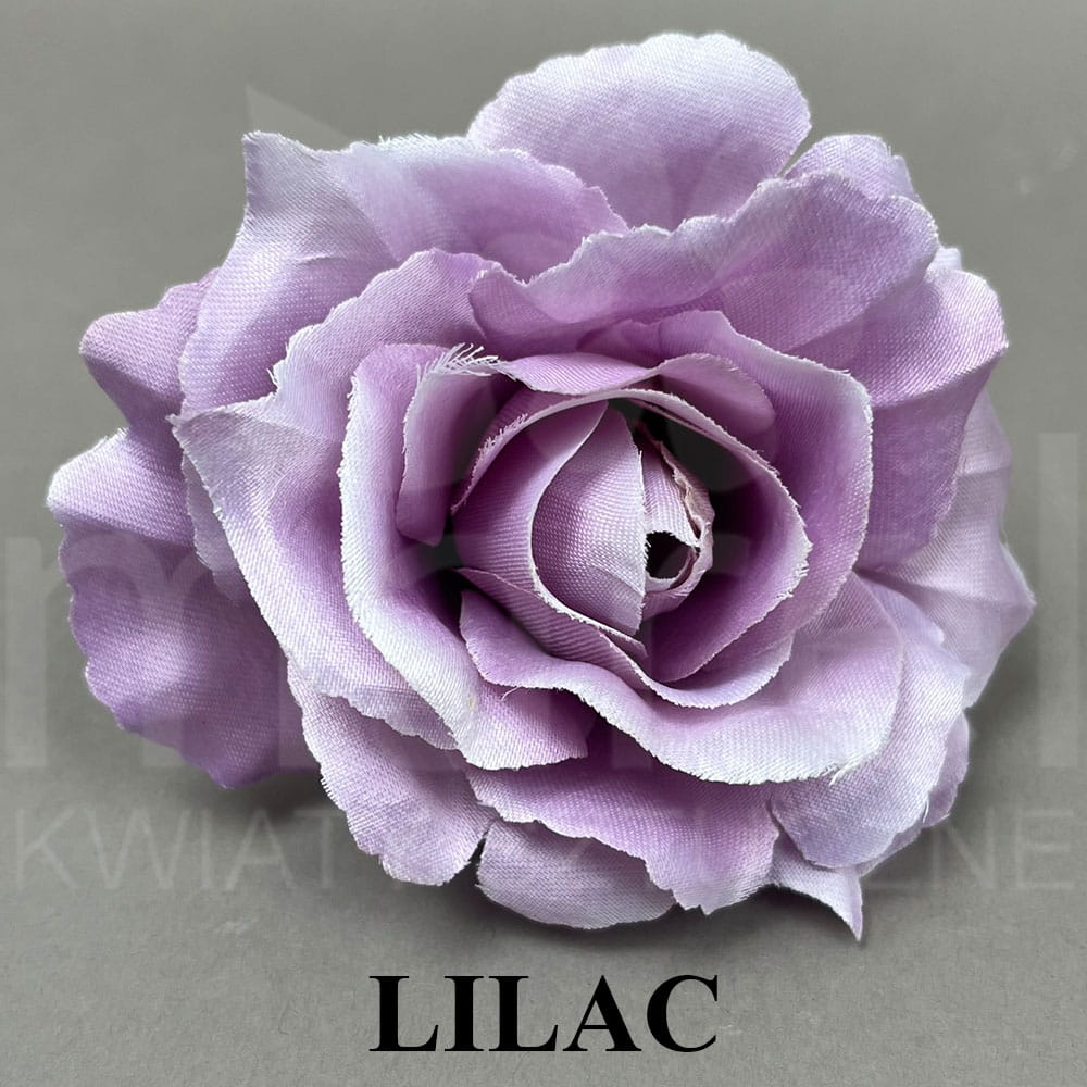 LILAC.jpg