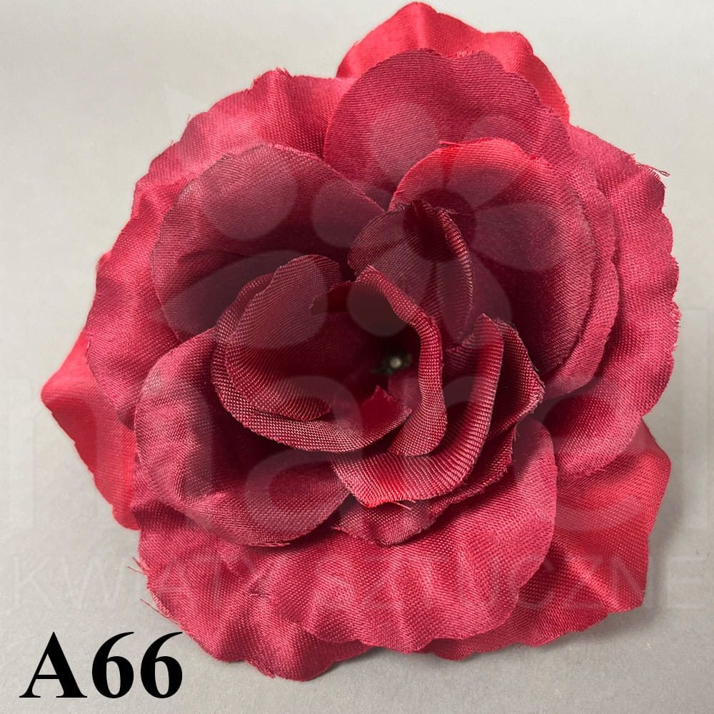 A66.jpg