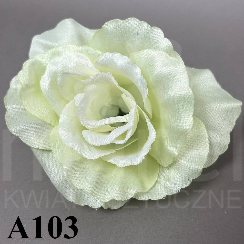 A103.jpg