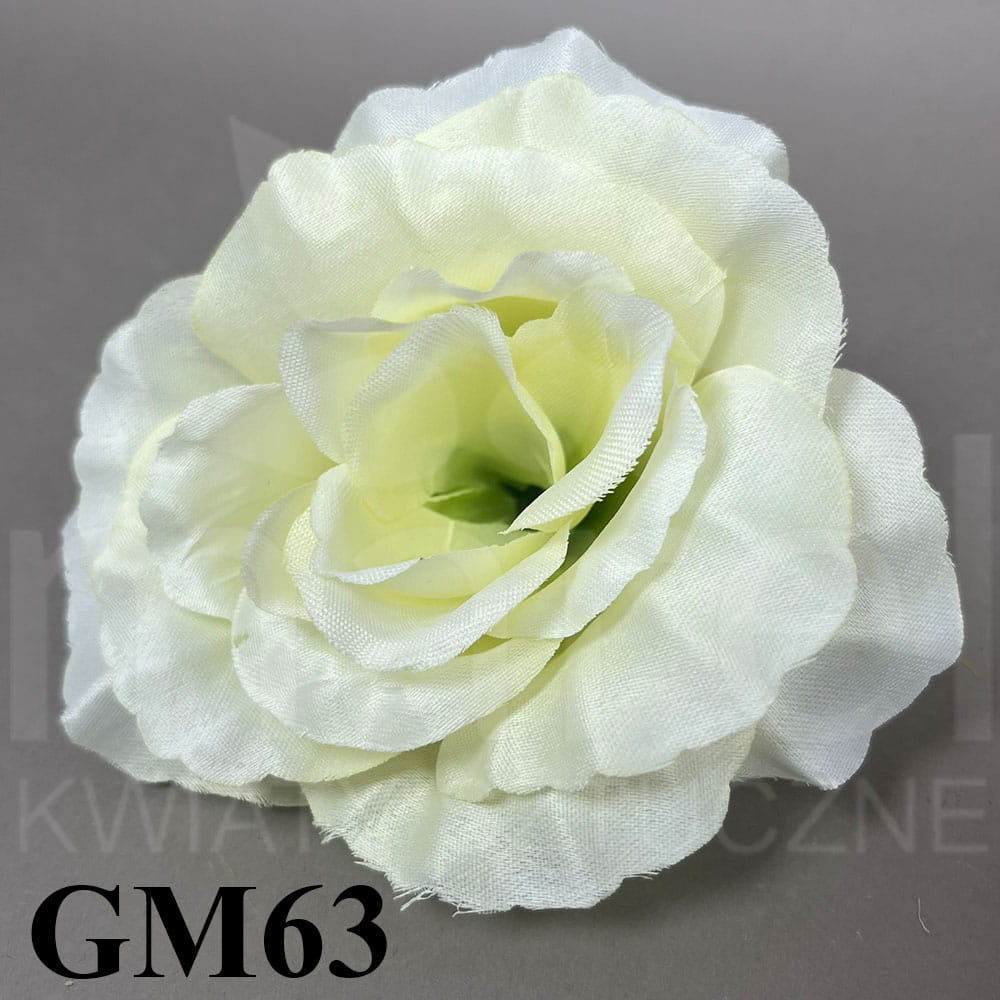 GM63.jpg