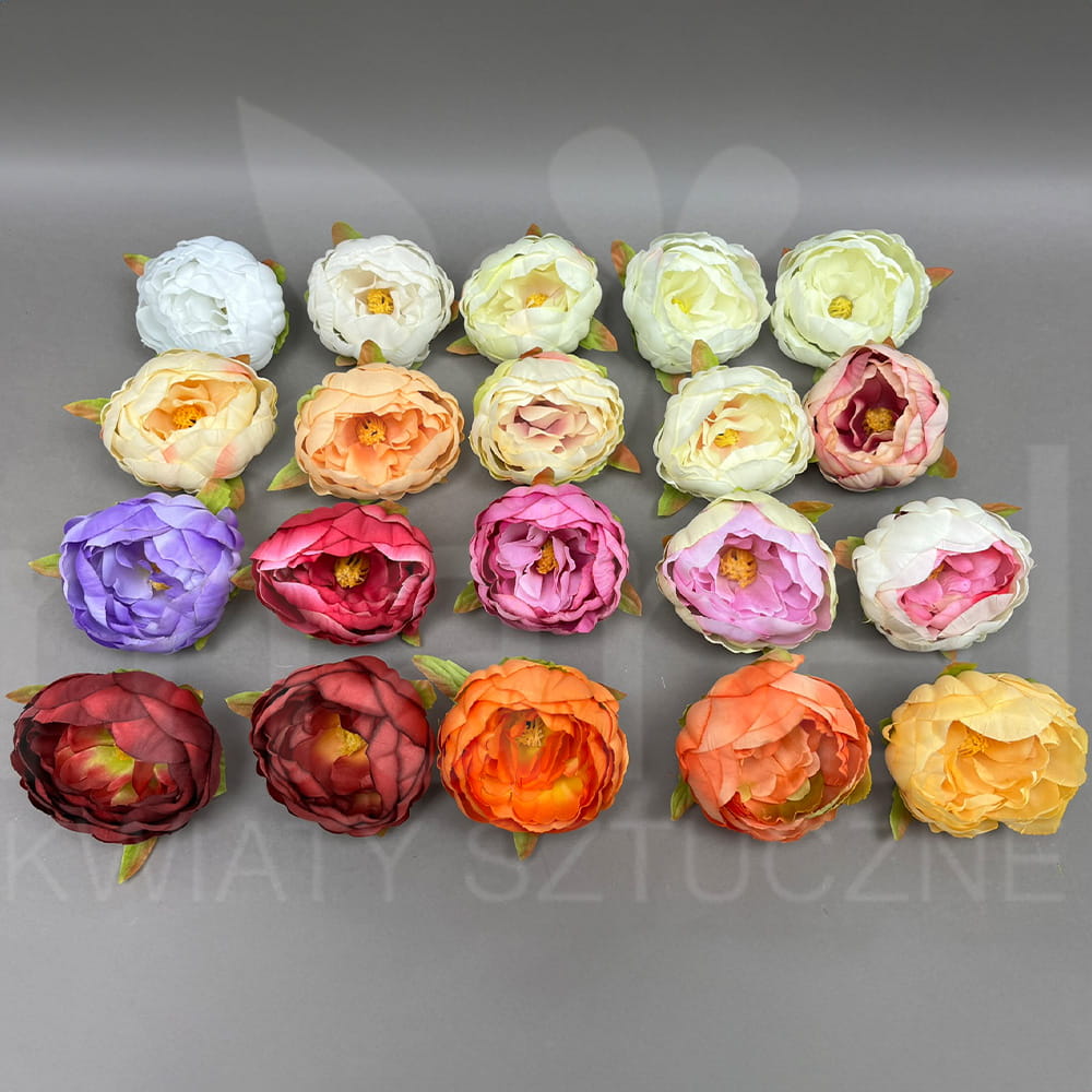 Piwonia M814 12x .jpg