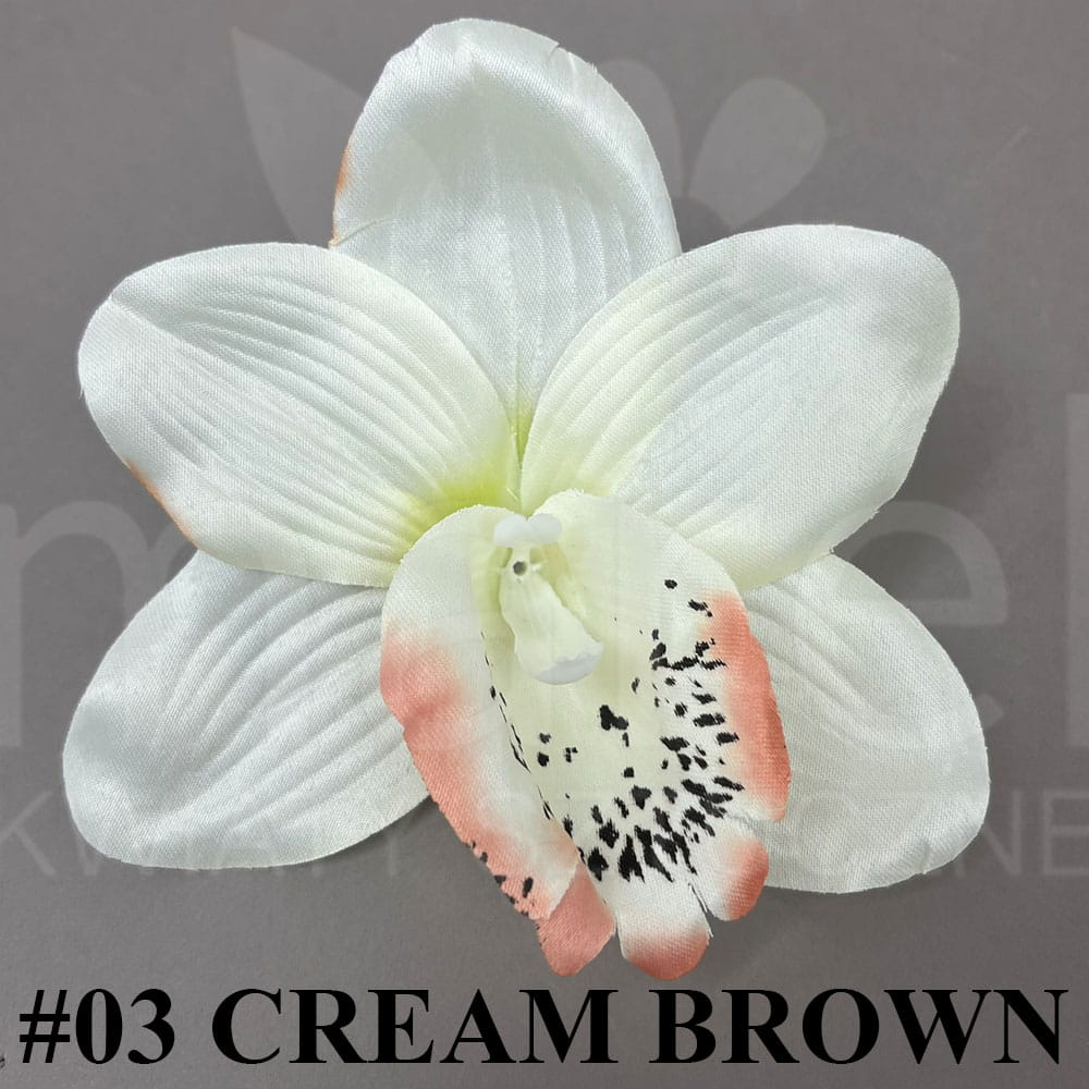 #03 CREAM BROWN.jpg