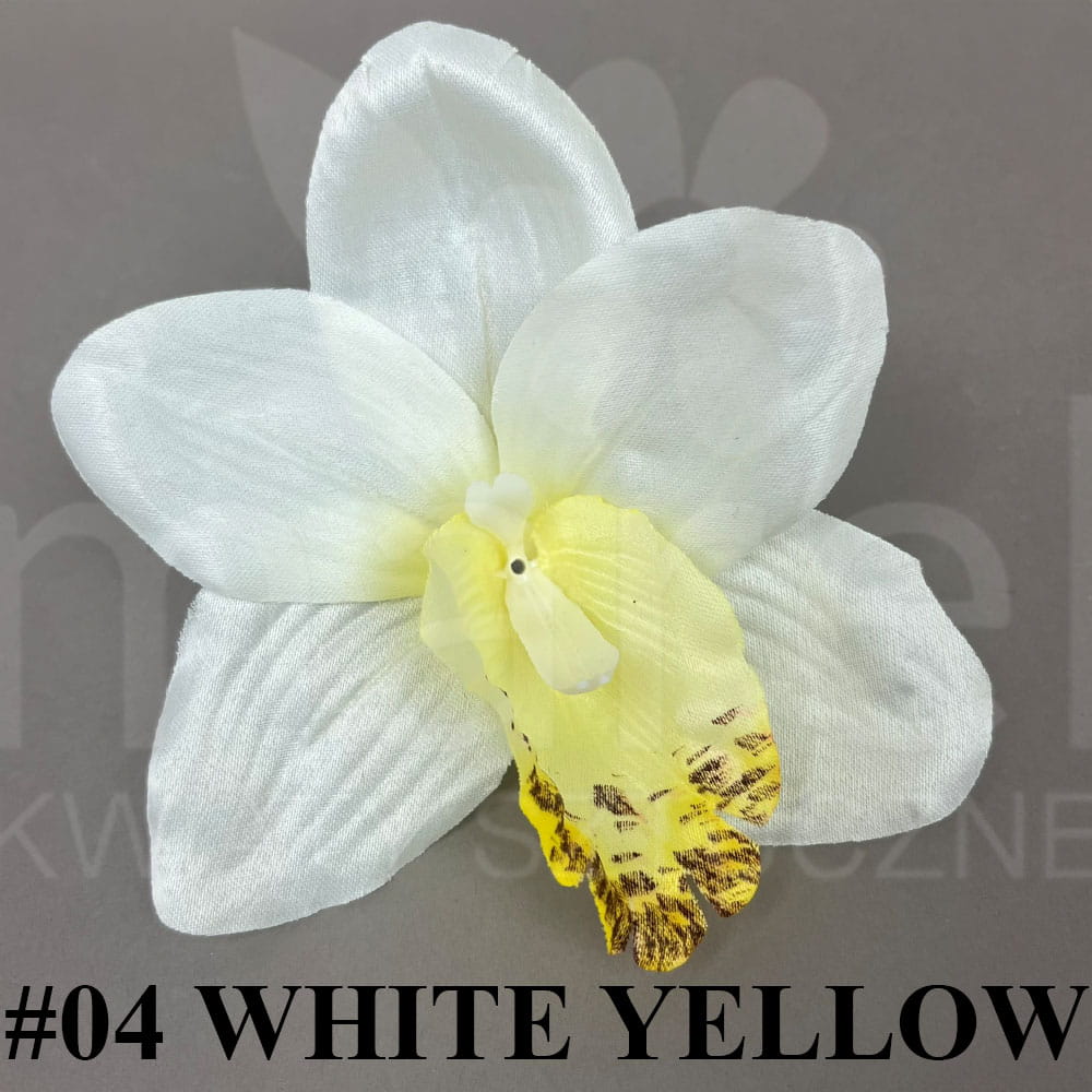 #04 WHITE YELLOW.jpg