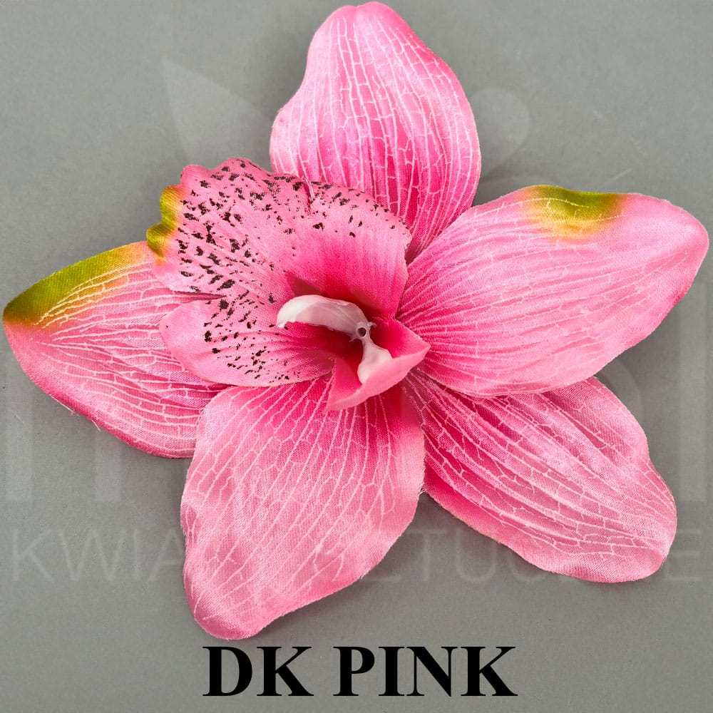 DK PINK.jpg