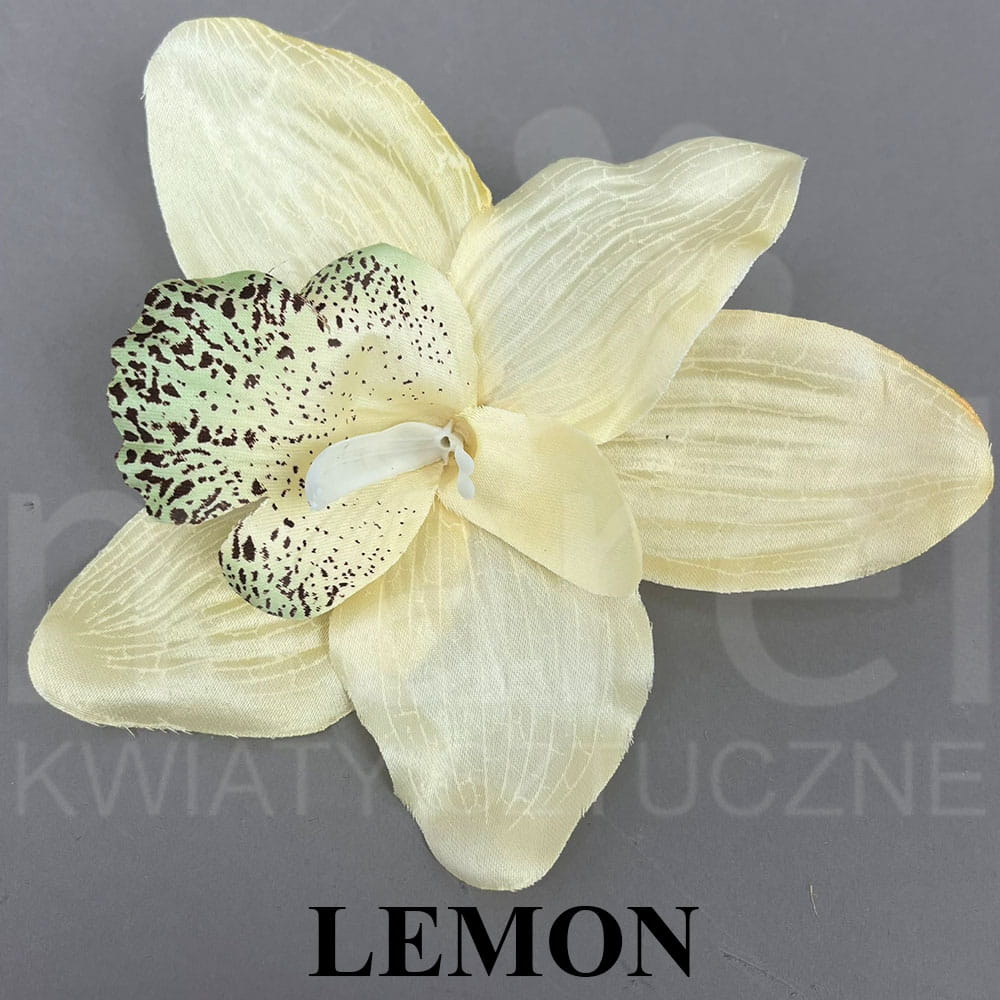 LEMON.jpg