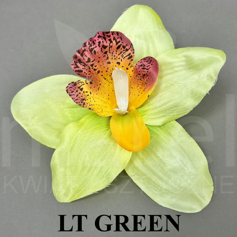 LT GREEN.jpg