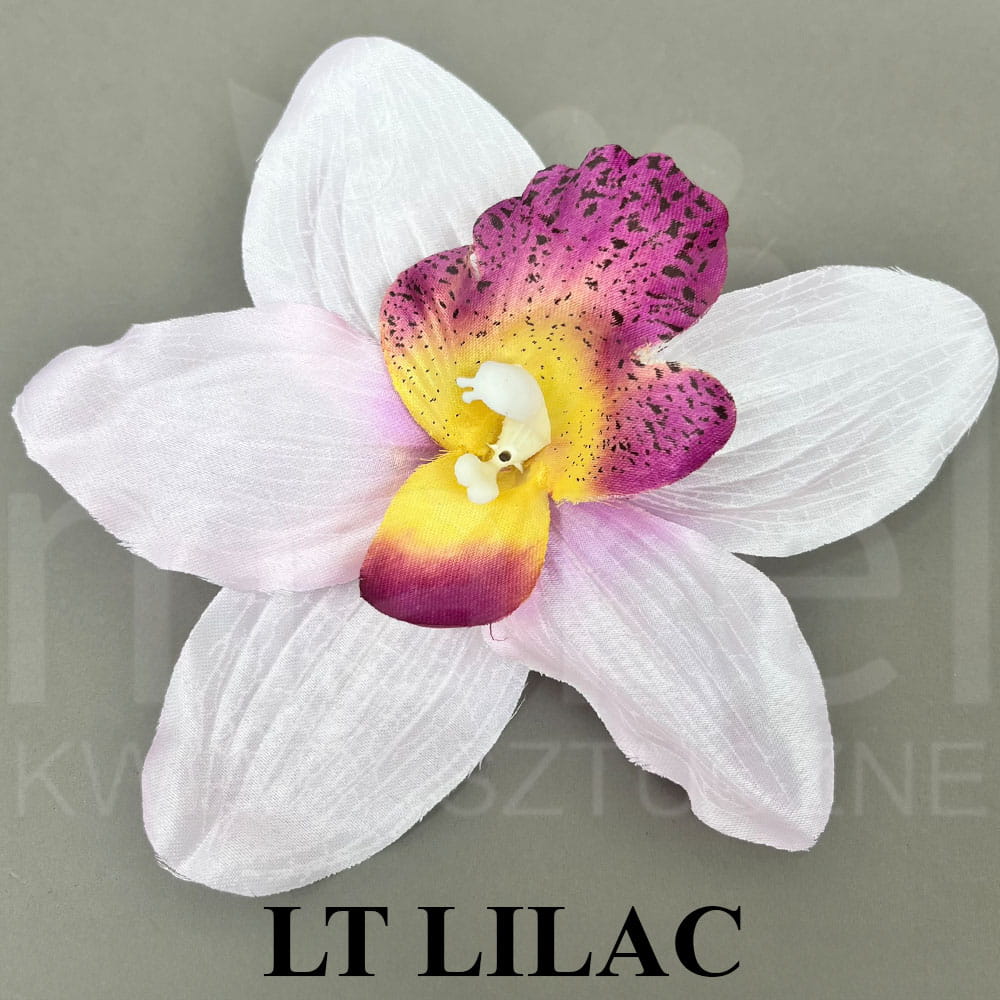 LT LILAC.jpg