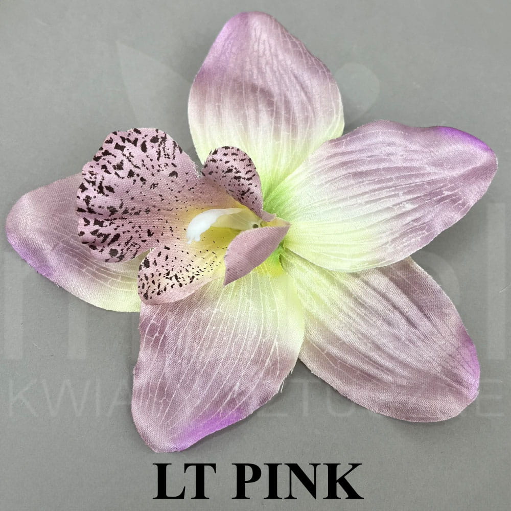 lt pink.jpg