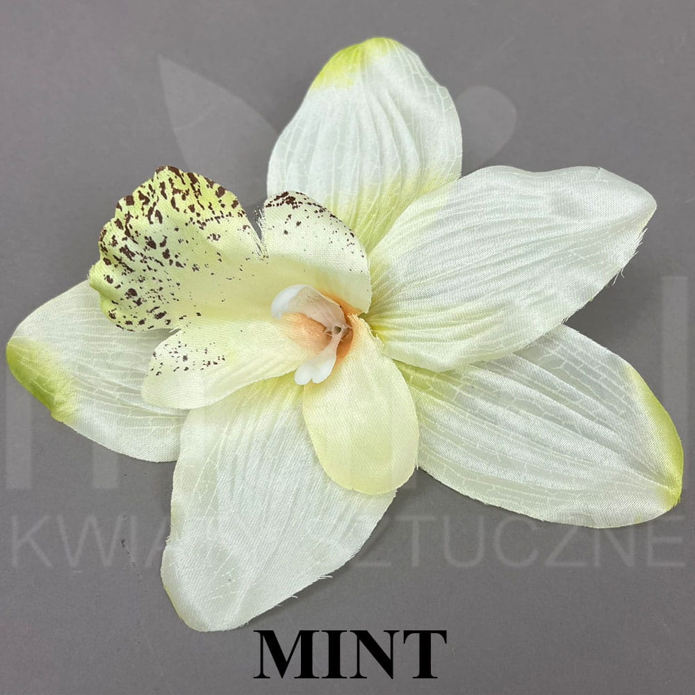 MINT.jpg