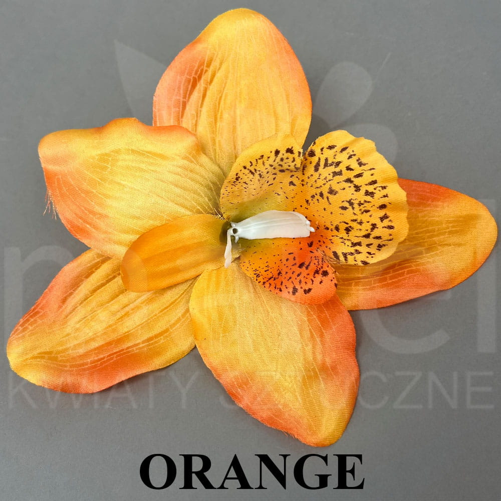 ORANGE.jpg