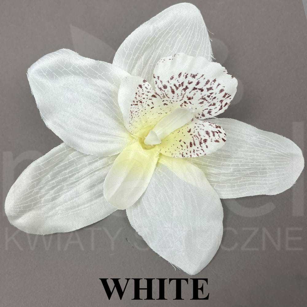 WHITE.jpg