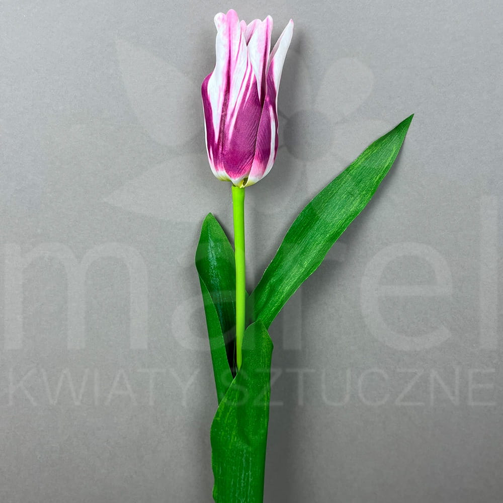 SUN-605 LT PINK BEAUTY PRZYB.jpg