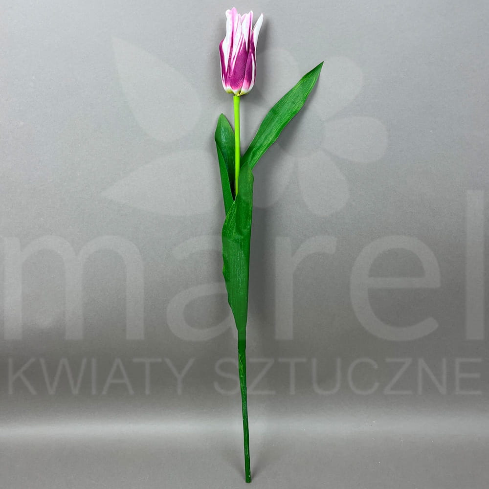 SUN-605 LT PINK BEAUTY.jpg