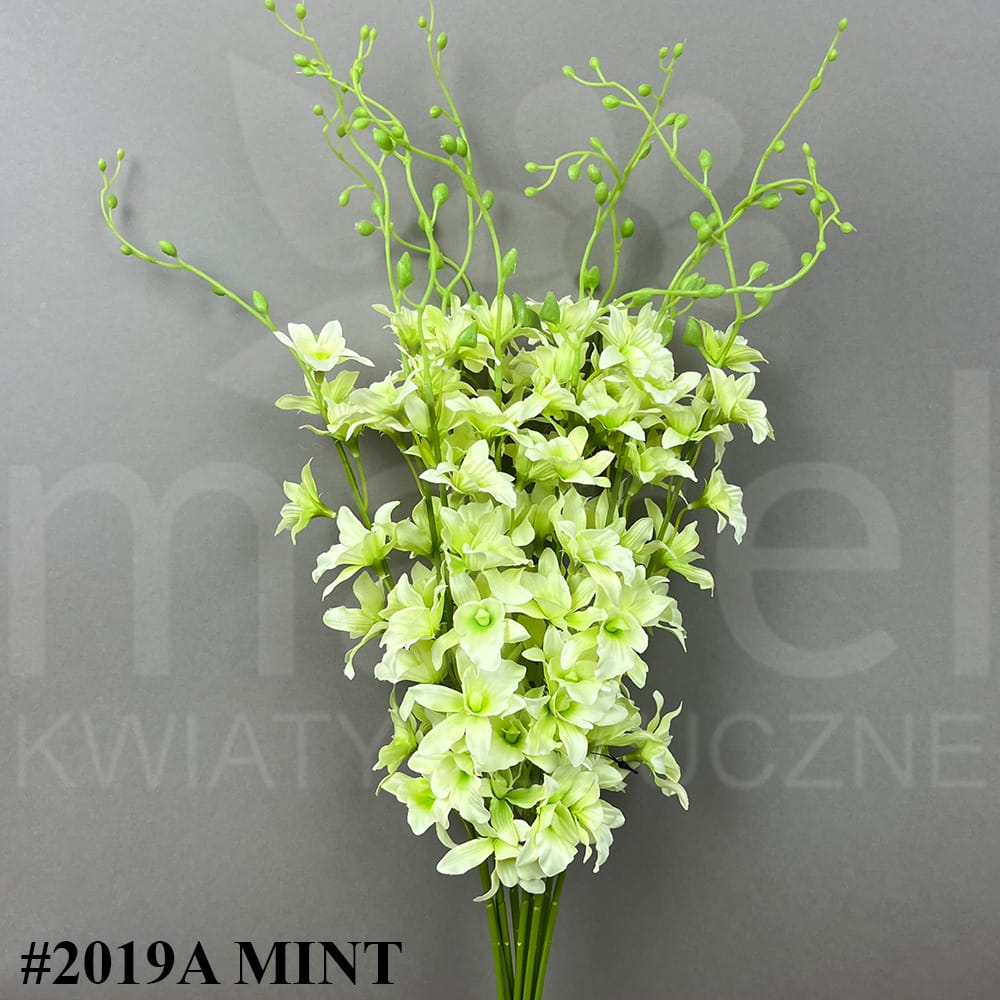#2019A MINT.jpg