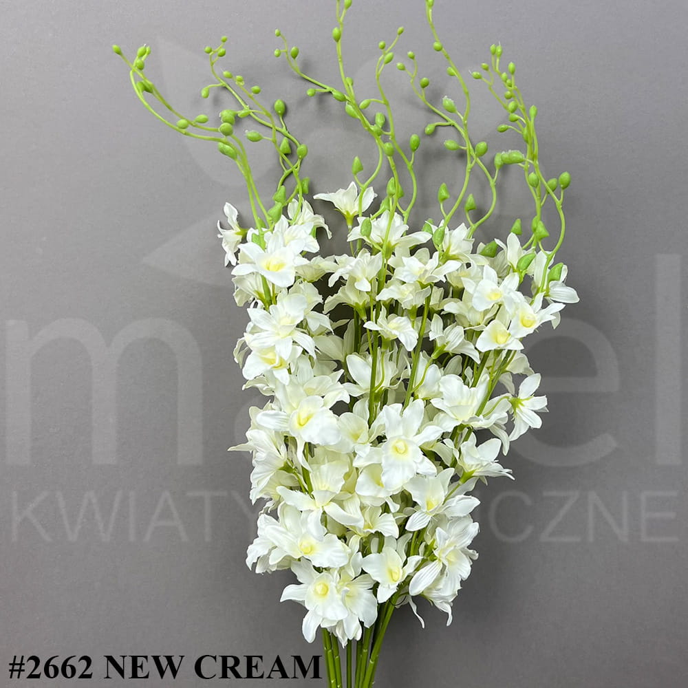 #2662 NEW CREAM.jpg