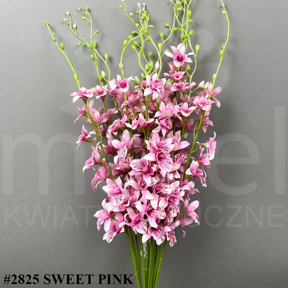 #2825 SWEET PINK.jpg