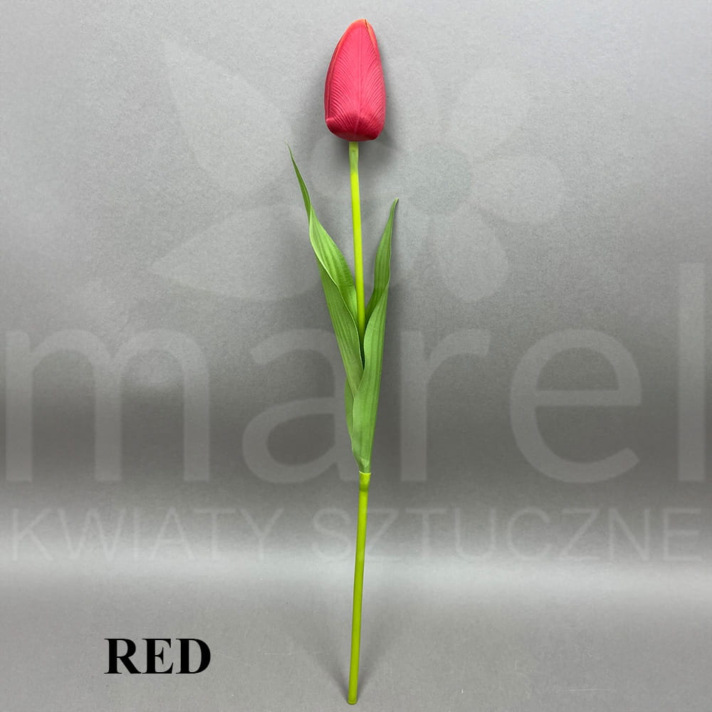 RED.jpg