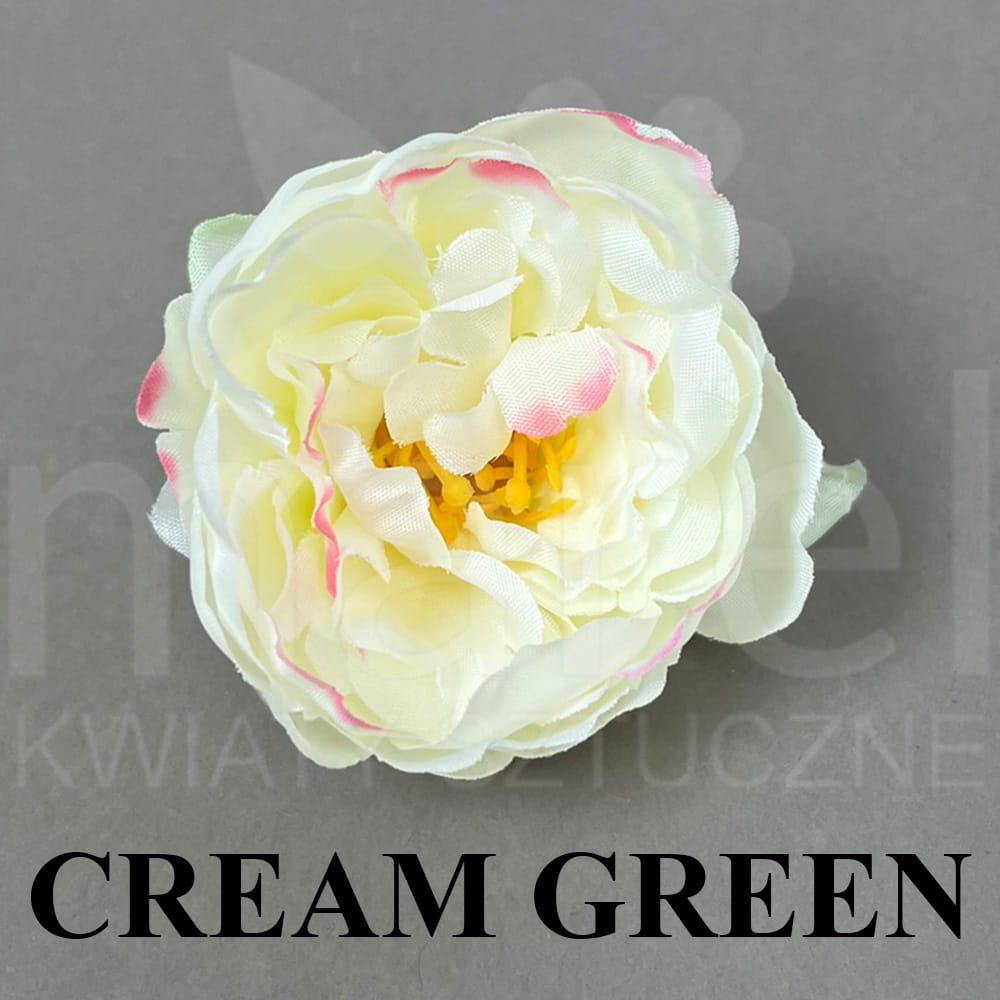 CREAM GREEN.jpg