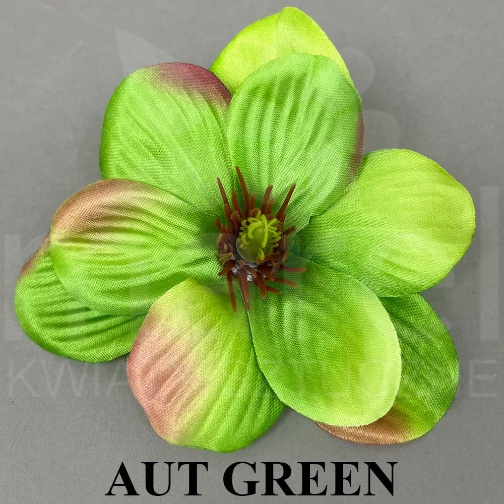 AUT GREEN.jpg