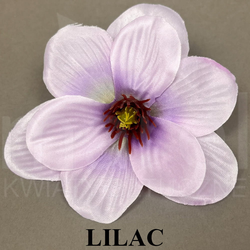 LILAC.jpg