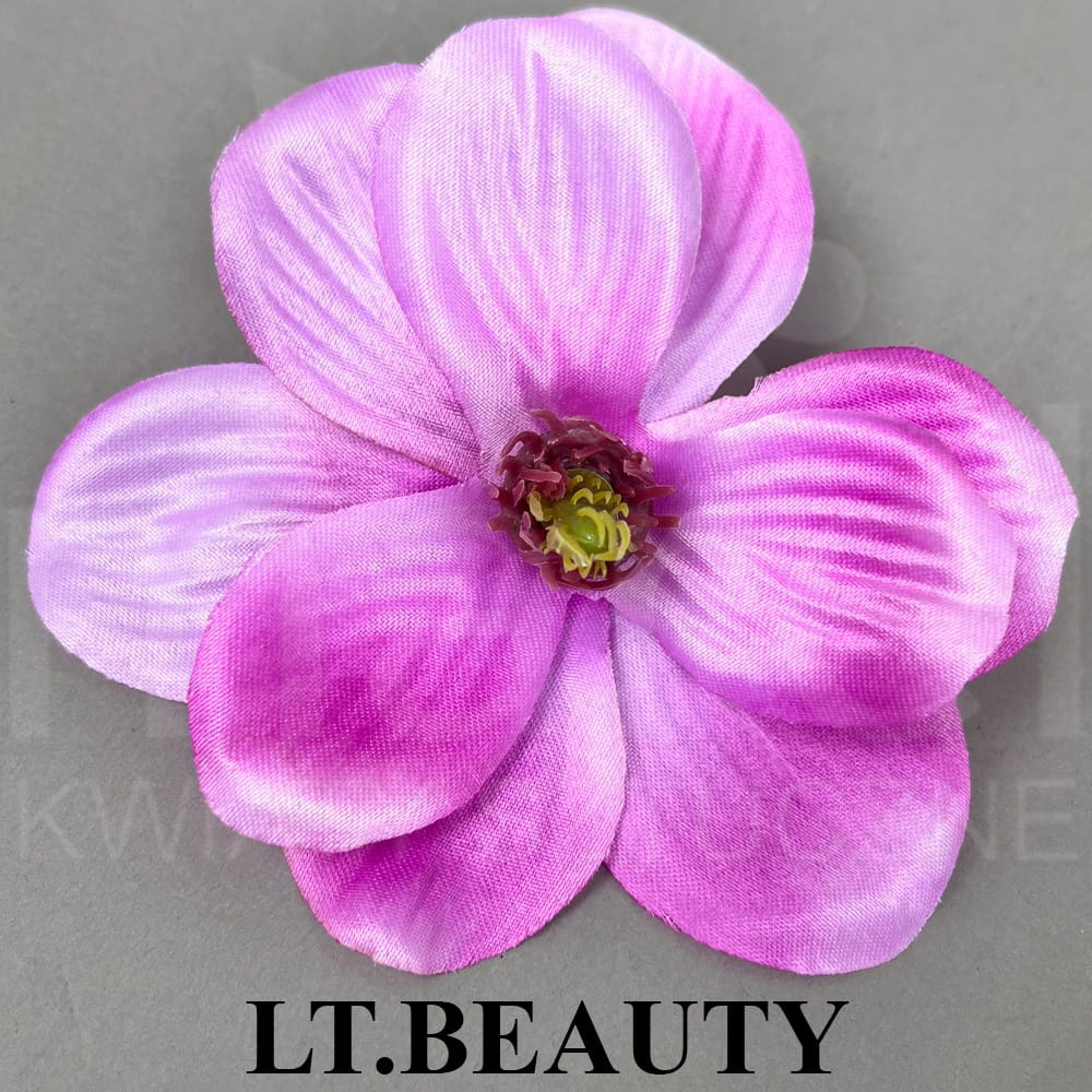 LT.BEAUTY.jpg