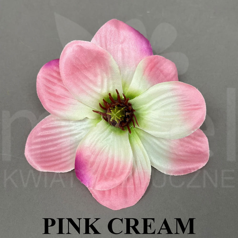 PINK CREAM.jpg