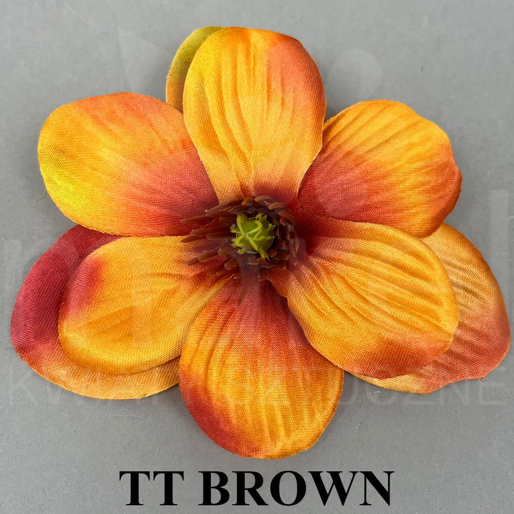 TT BROWN.jpg