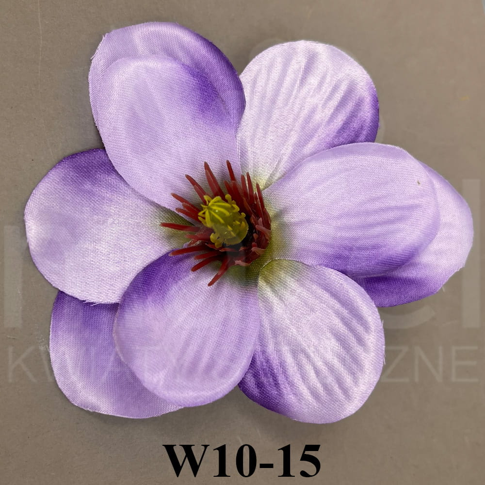 W10-15.jpg