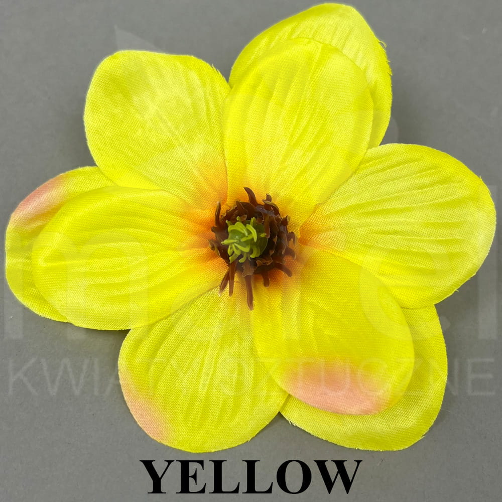 YELLOW.jpg