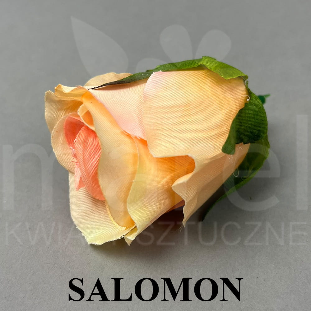SALOMON.jpg