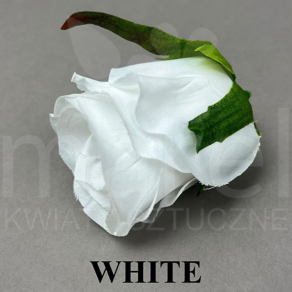 WHITE.jpg