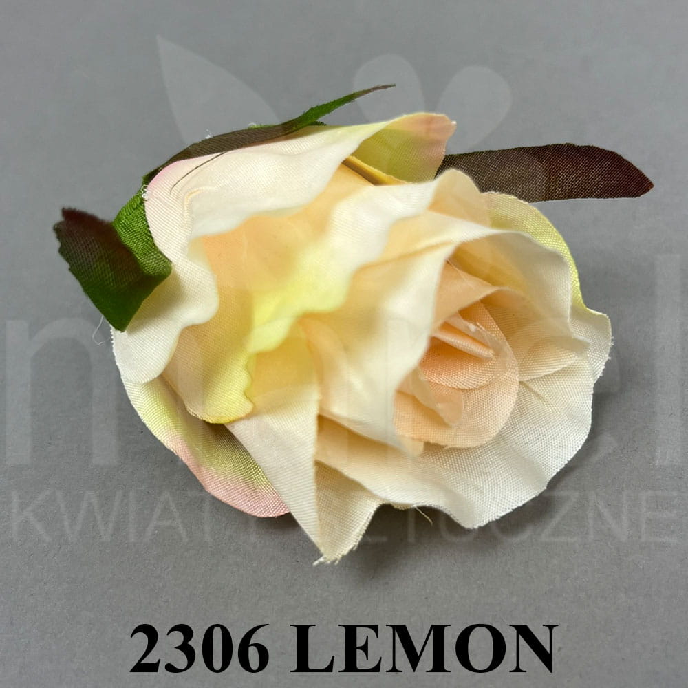 2306 LEMON.jpg