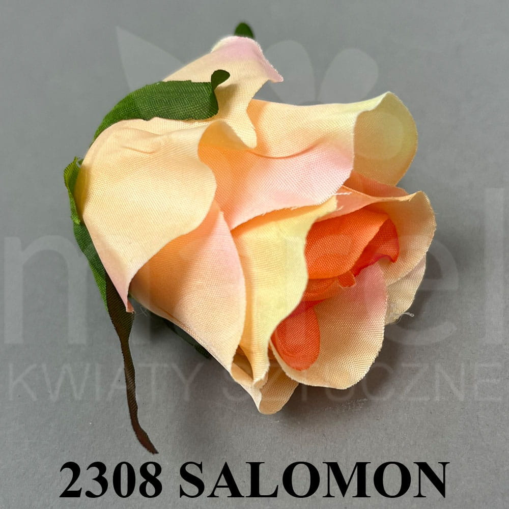2308 SALOMON.jpg