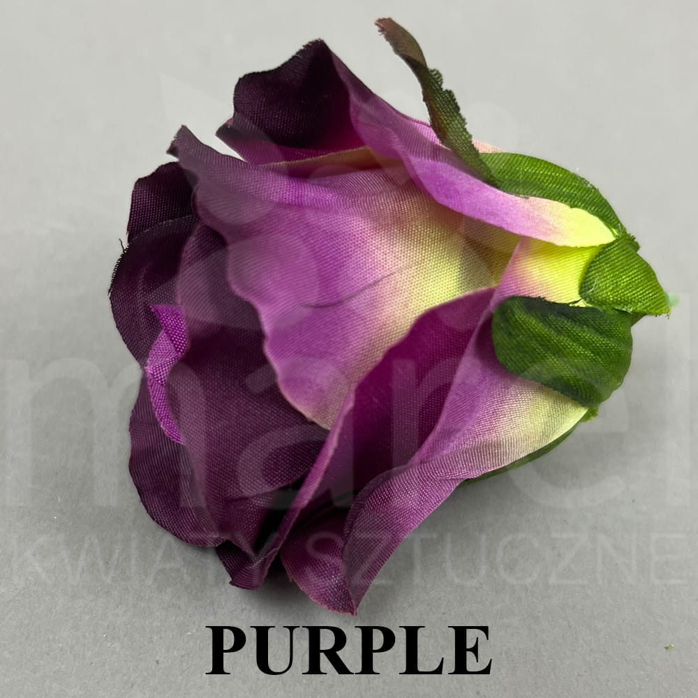 PURPLE.jpg