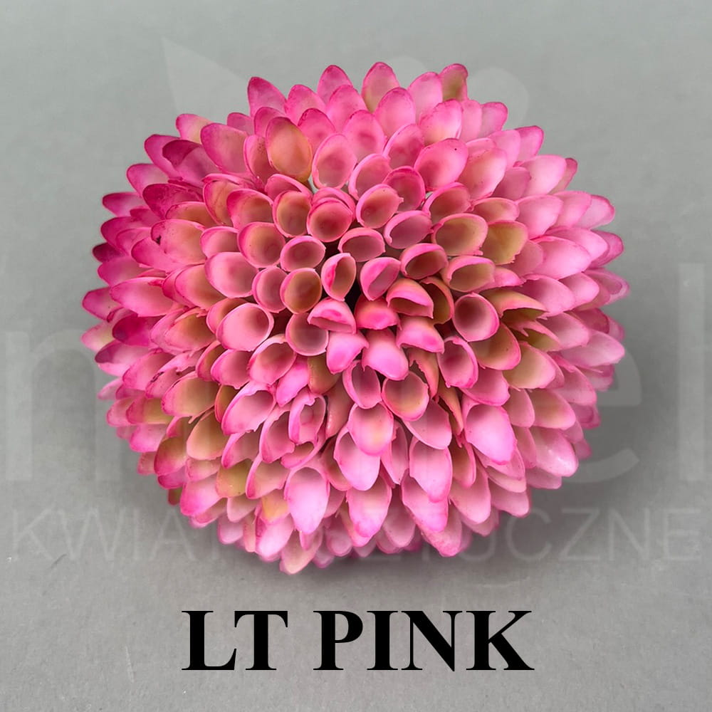 Lt.Pink