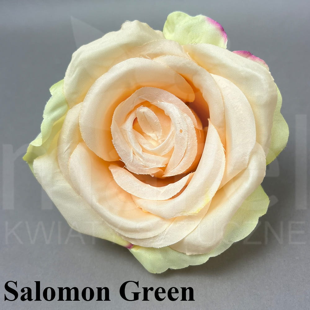 Salomon Green.jpg