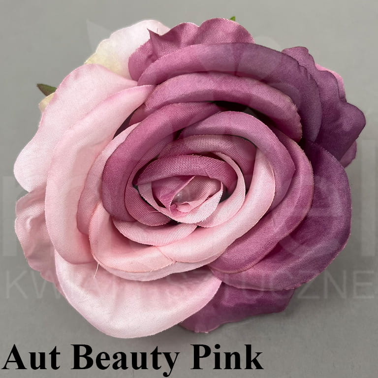 aut beauty pink.jpg