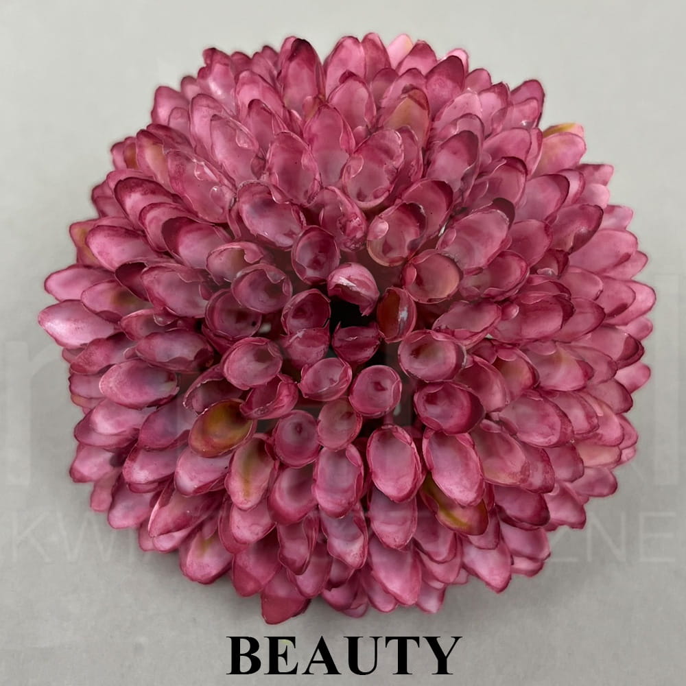 BEAUTY.jpg