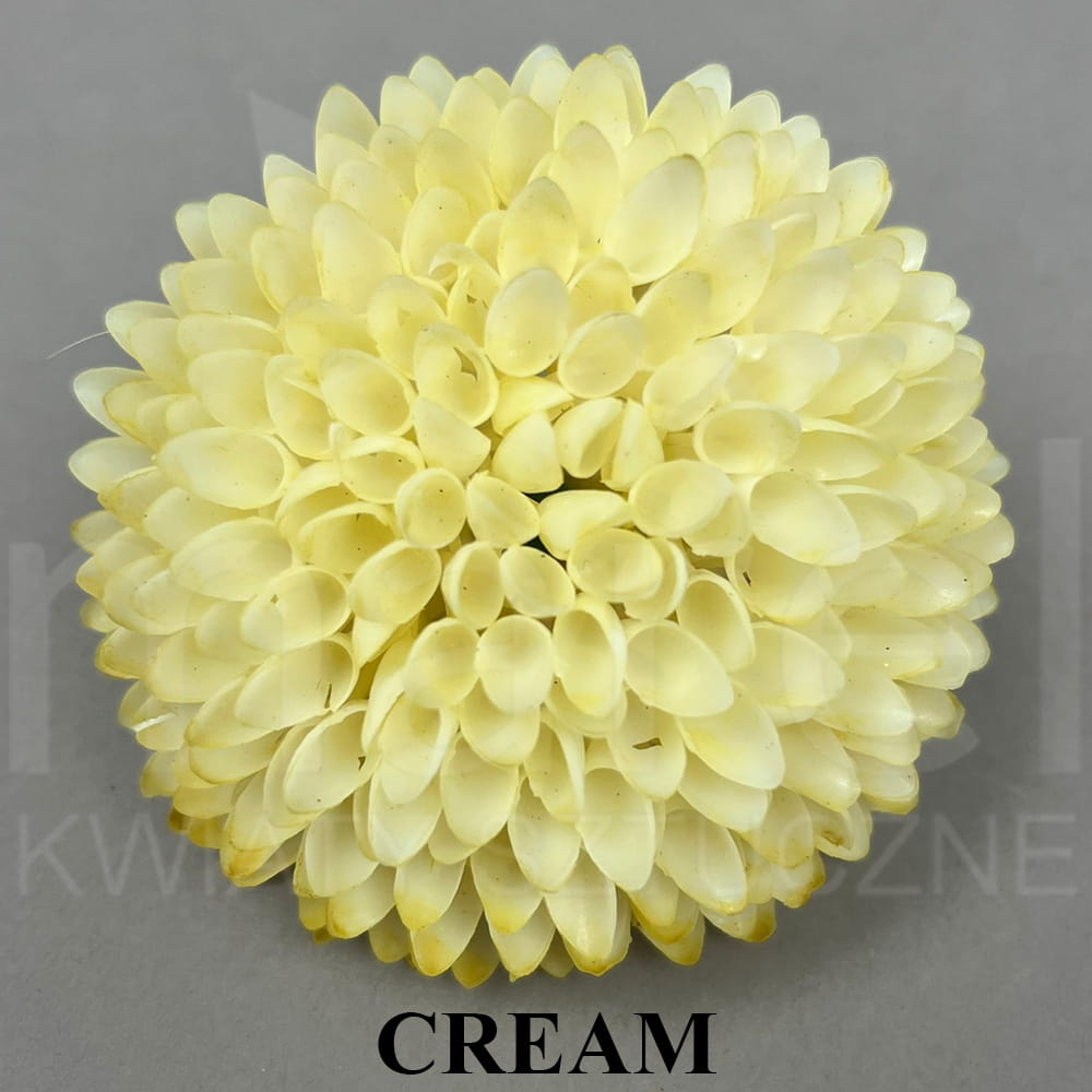 CREAM.jpg