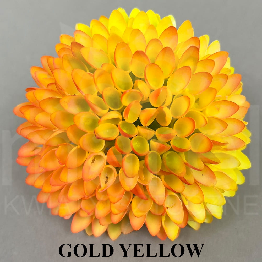 GOLD YELLOW.jpg