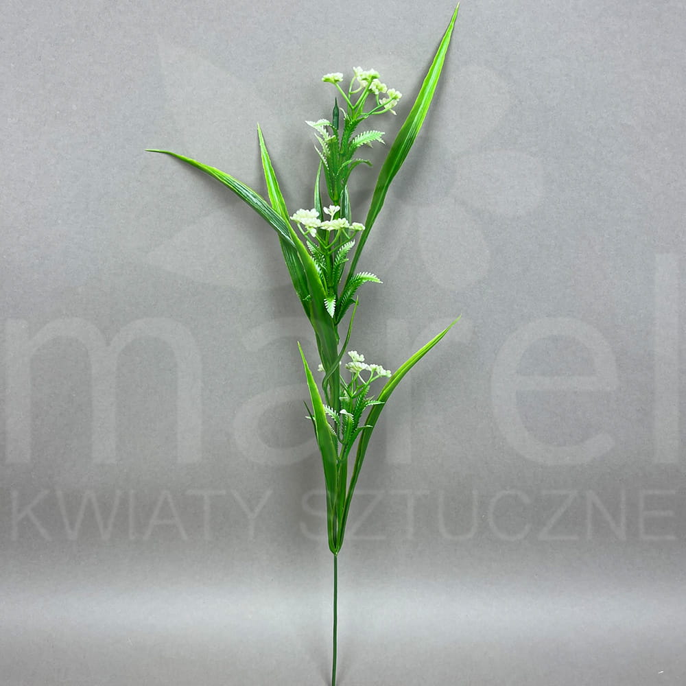 KWZ1515.jpg