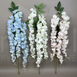 Wisteria KWO2069 MIX