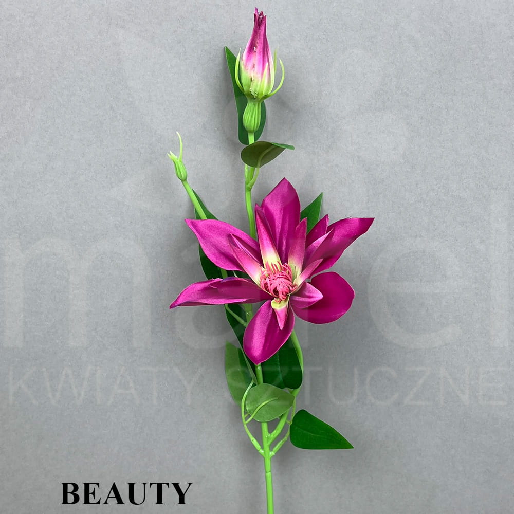 BEAUTY.jpg