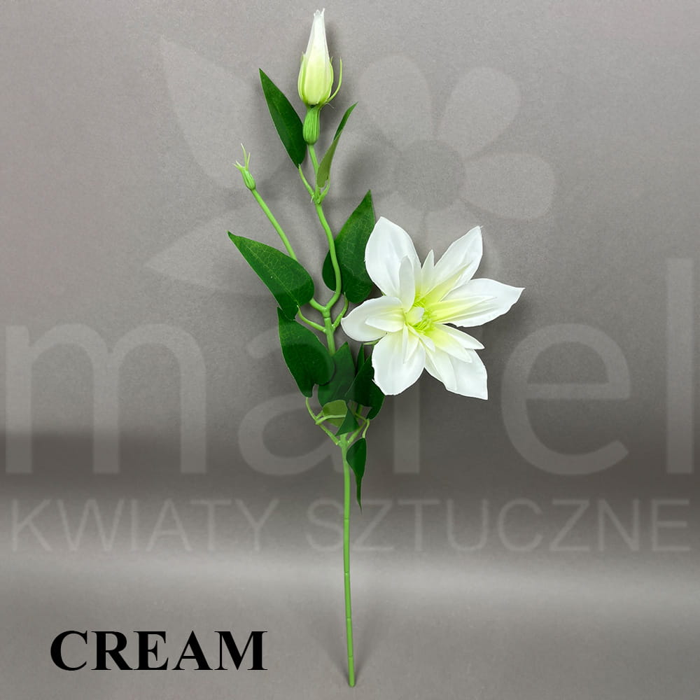 cream.jpg