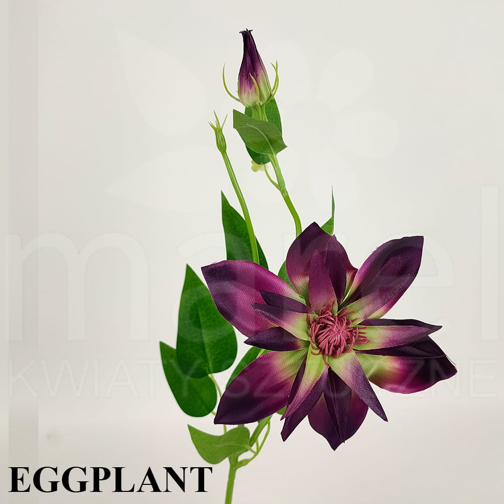EGGPLANT.jpg