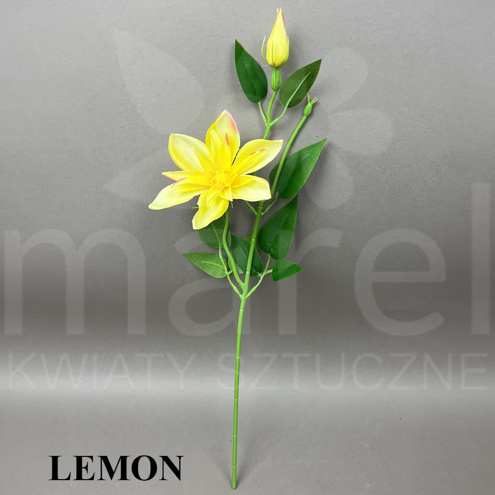 LEMON.jpg