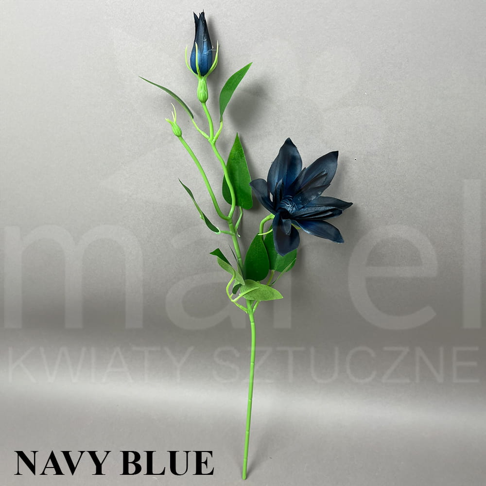 NAVY BLUE.jpg