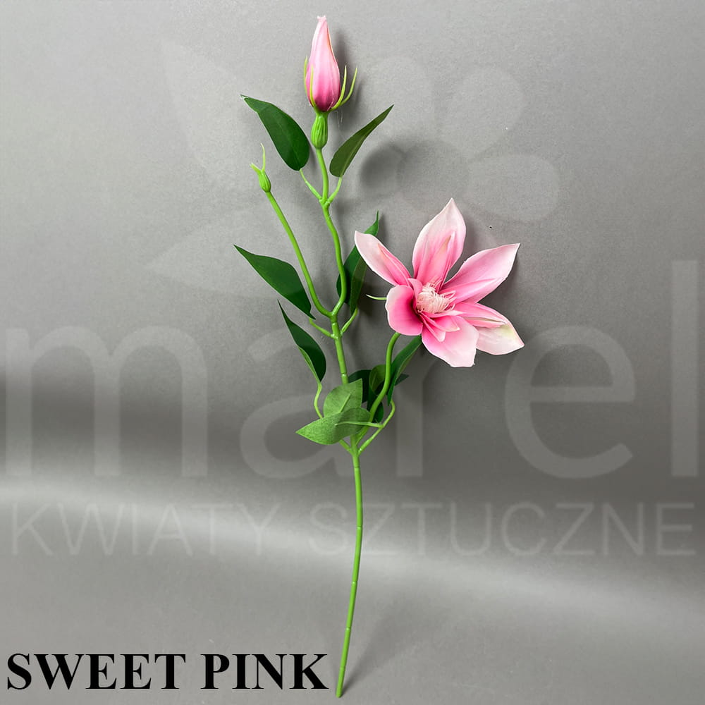 SWEET PINK.jpg